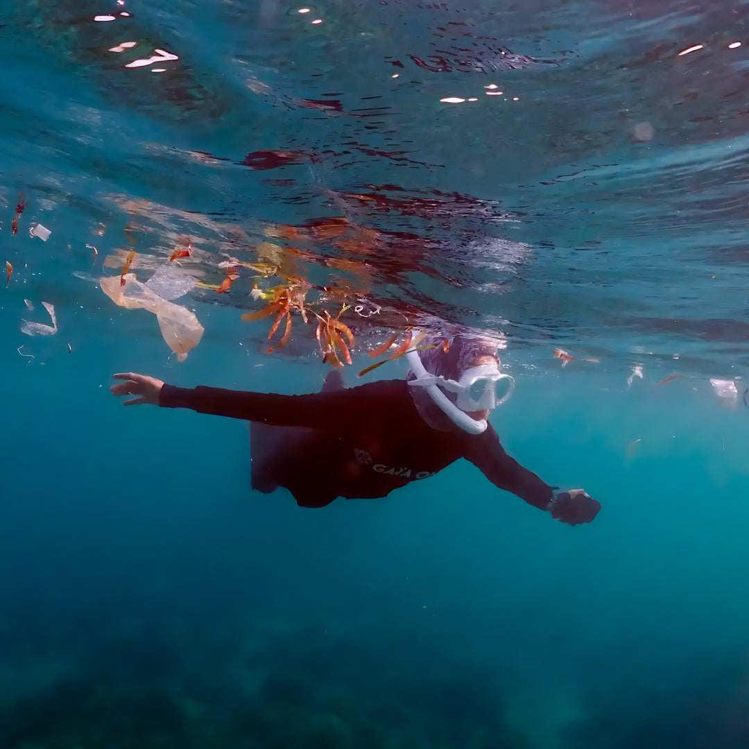 SSI Wave 2 Freediving Course