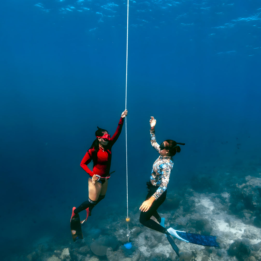 Turtle Ecology Specialty Program