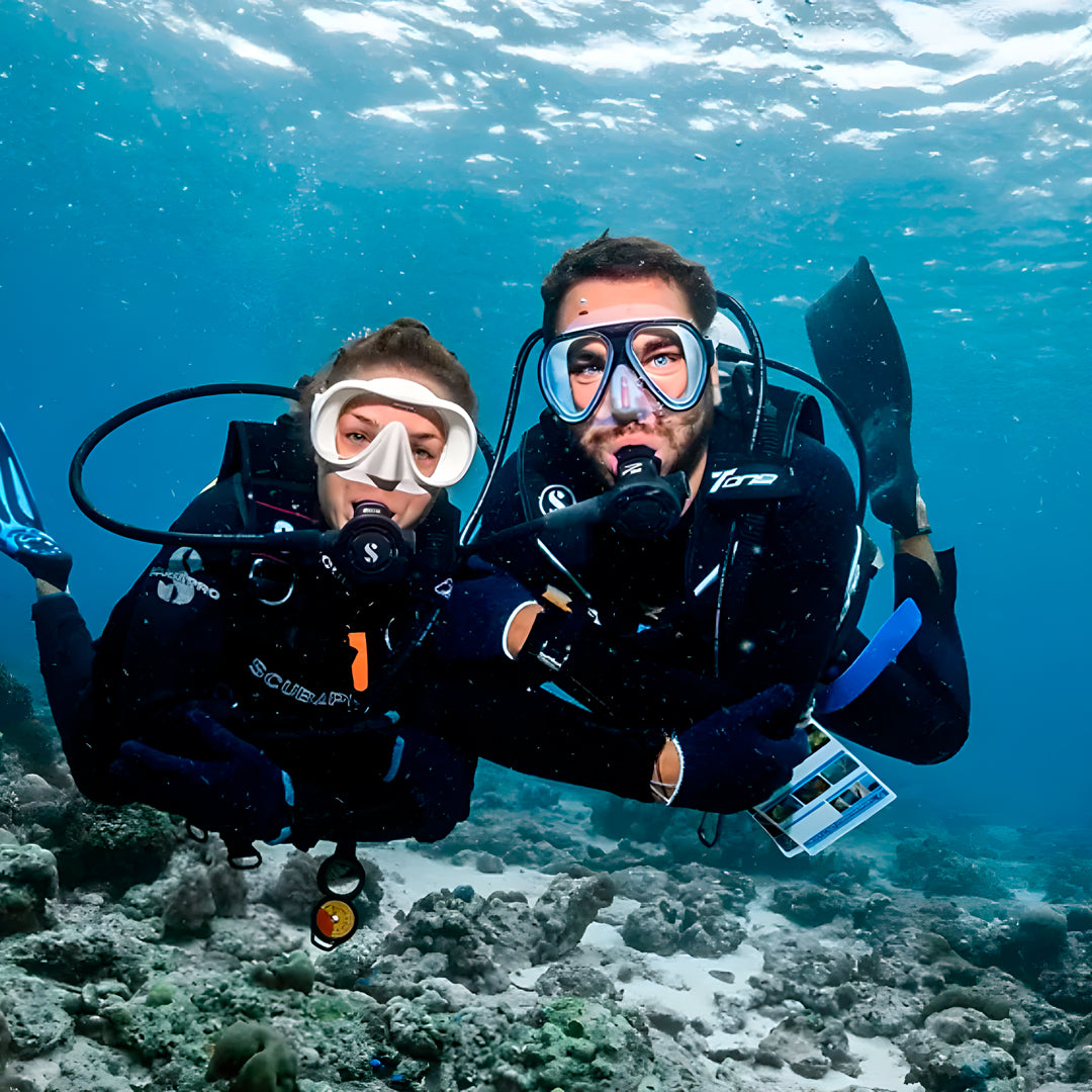 Fun Scuba Diving in Bari