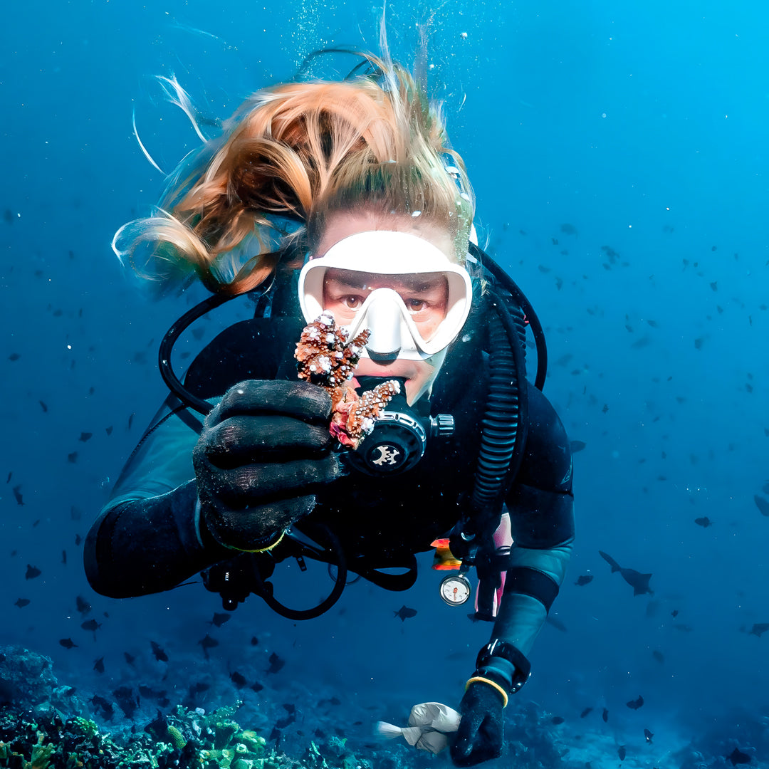 Ocean Gardener Coral Intro Program