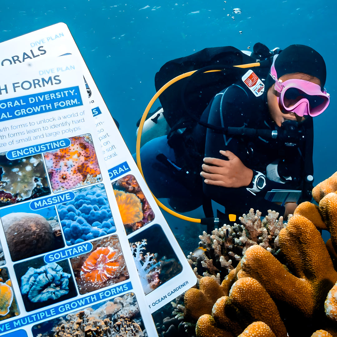SSI Advanced Adventurer Scuba Diver Course in Bira