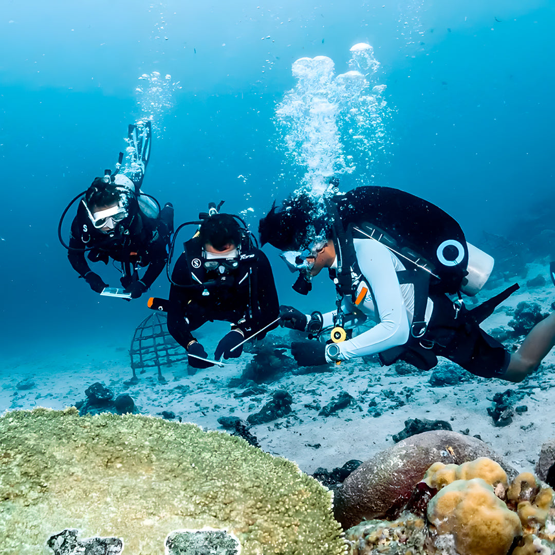 SSI Advanced Adventurer Scuba Diver Course in Bira