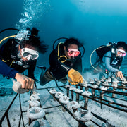 Curso de buceo SSI Stress & Rescue con React Right