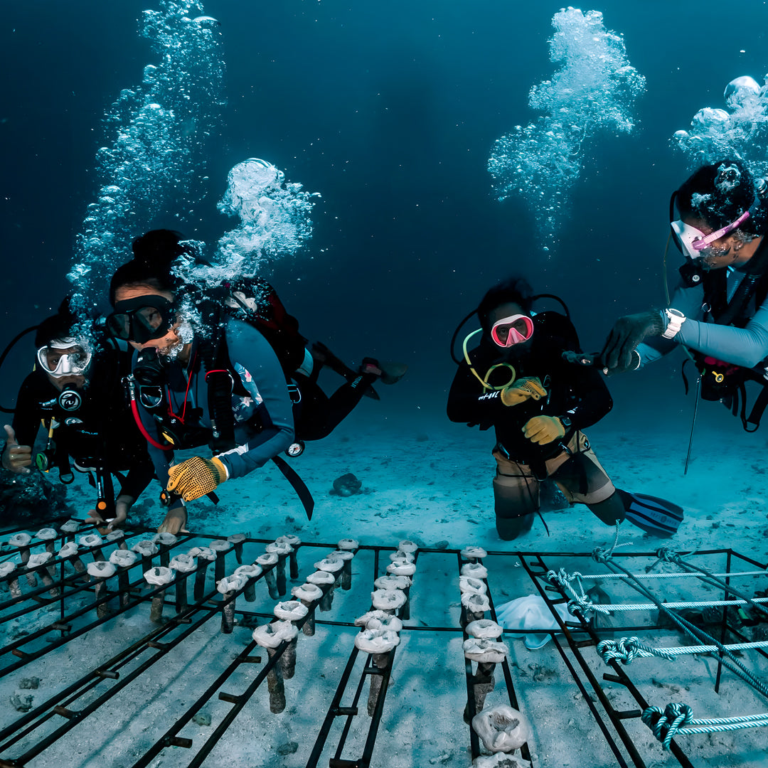 Curso de buceo SSI Stress & Rescue con React Right