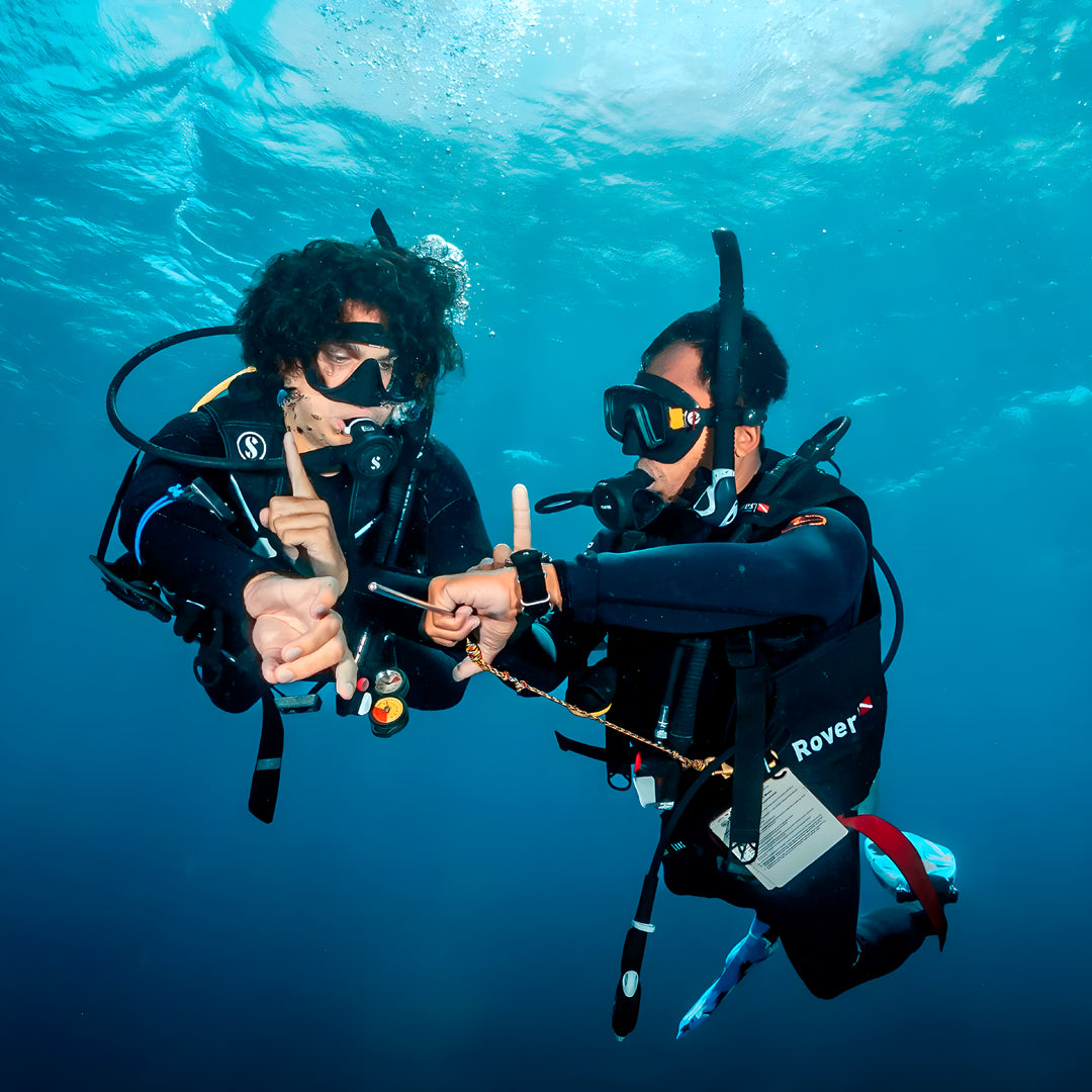 Fun Scuba Diving in Bari
