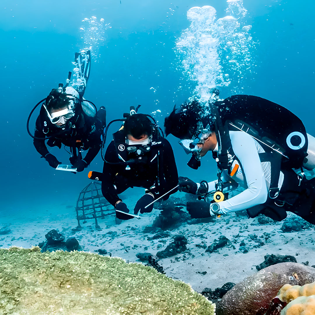 SSI Advanced Adventurer Scuba Diver Course in Bira