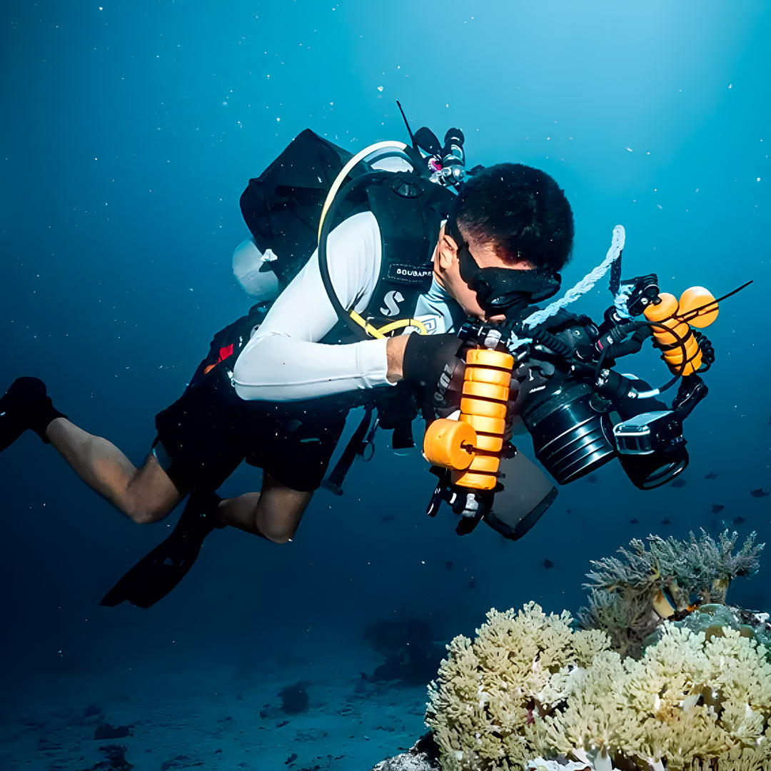 Fun Scuba Diving in Bari