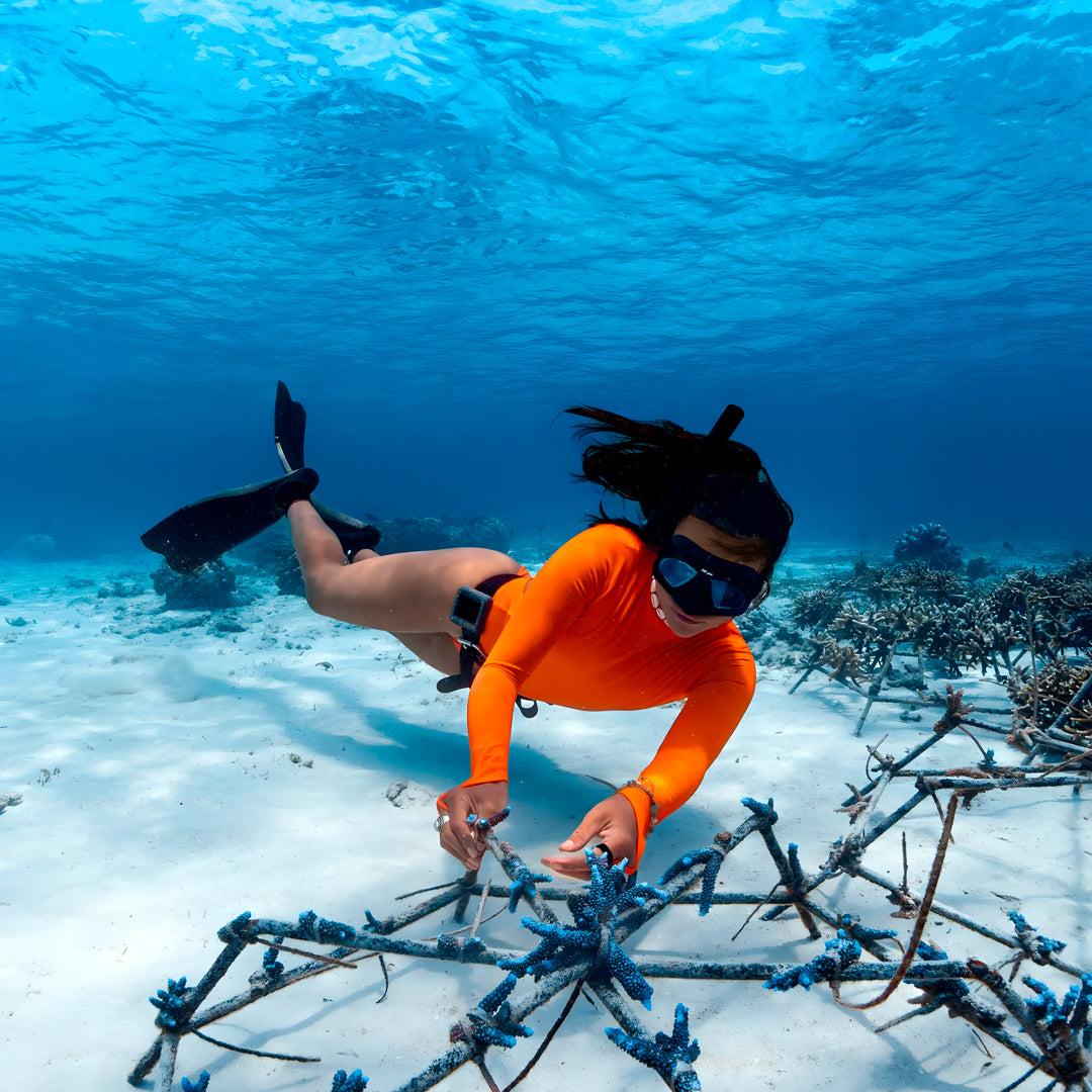 Ocean Gardener Coral Intro Program