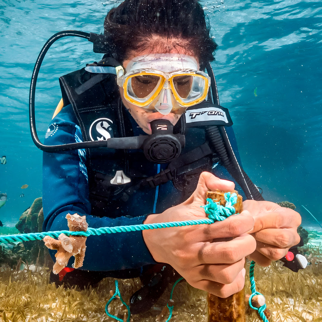 Ocean Gardener Coral Intro Program