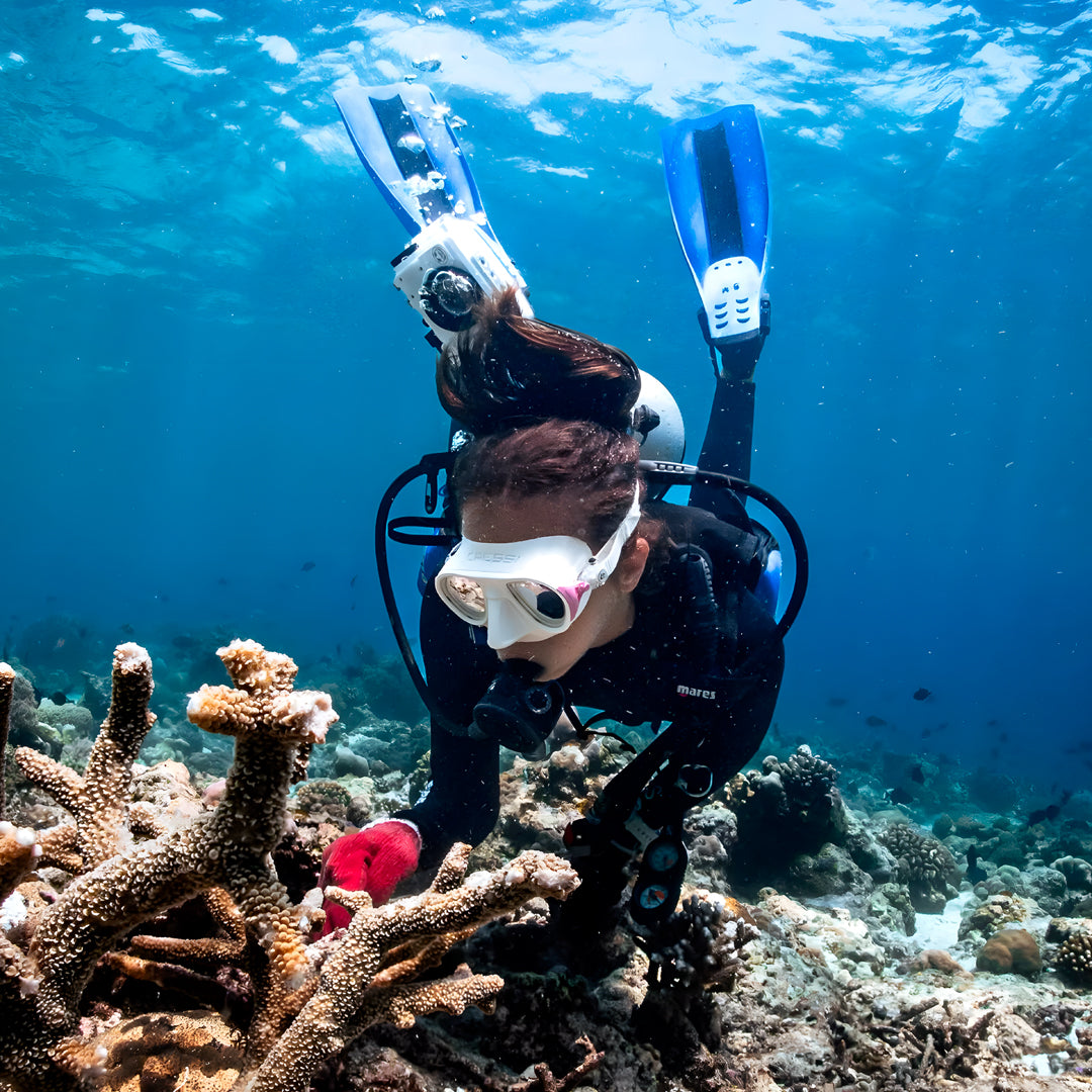 Bira SSI Open Water Diver Course