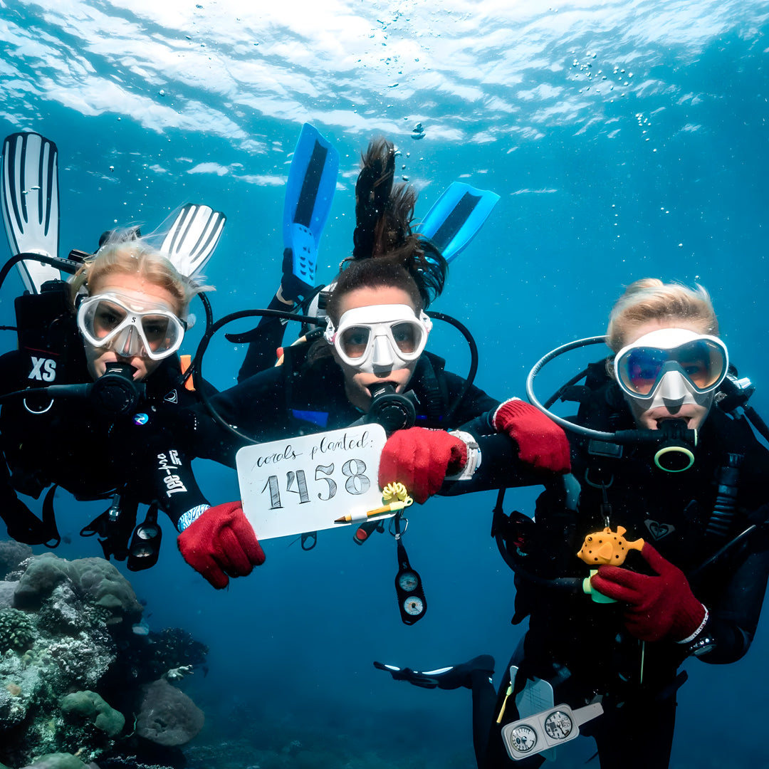 SSI Stress & Rescue with React Right Diver Course