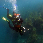 Discover Scuba Diving in Sesimbra