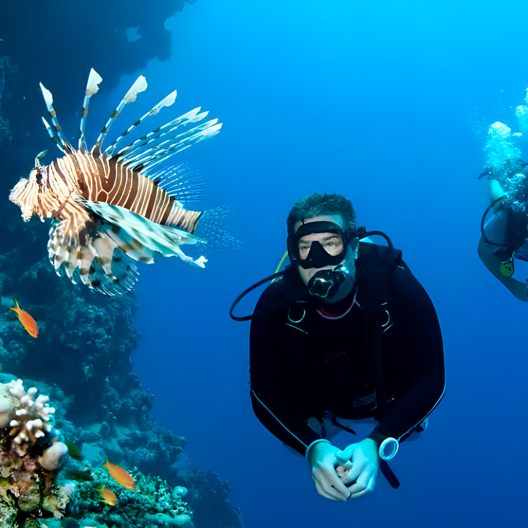 North Egypt Reef Scuba Diving Liveaboard