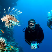 North Egypt Reef Scuba Diving Liveaboard Heaven Saphir