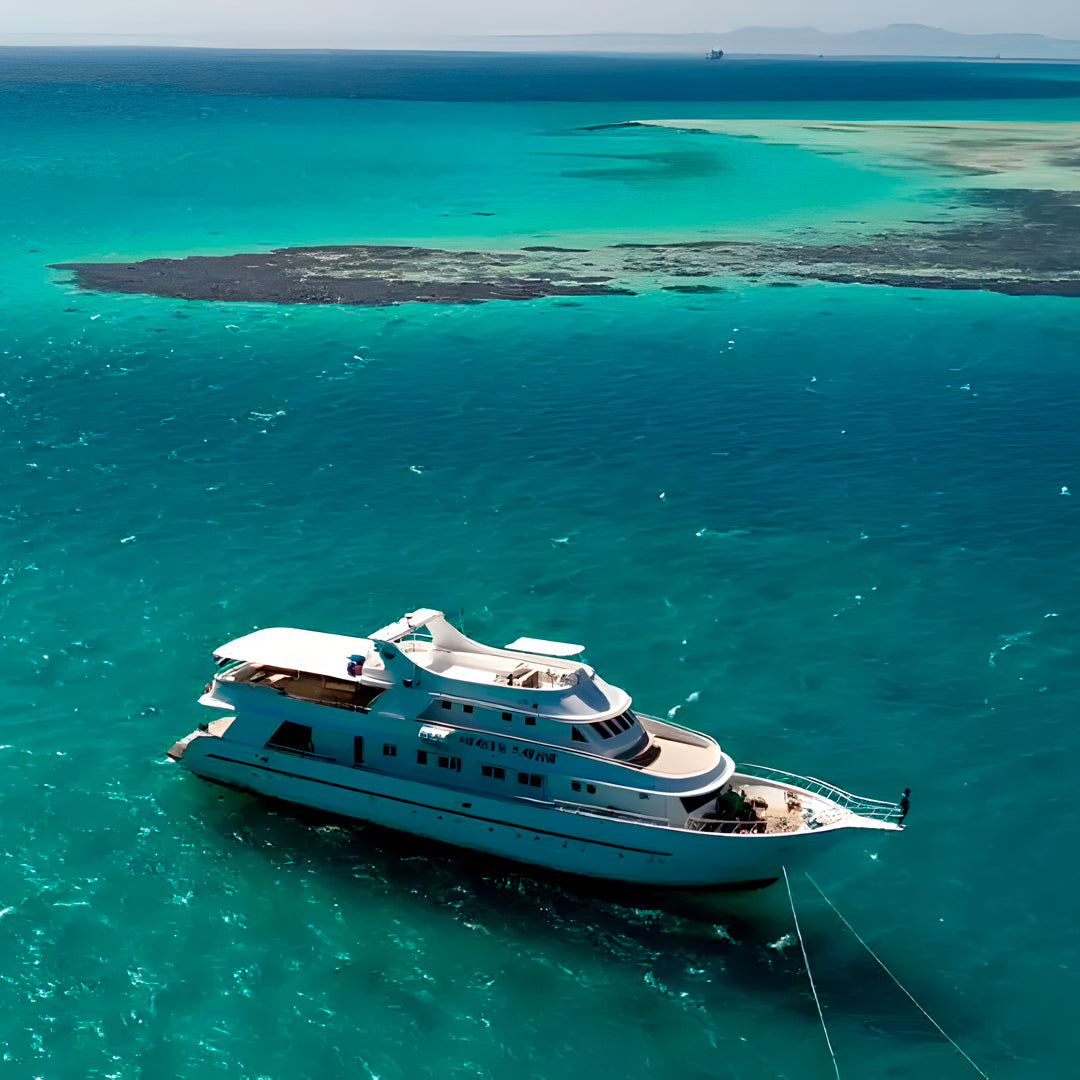 Egypt Scuba Diving Liveaboard Heaven Saphir