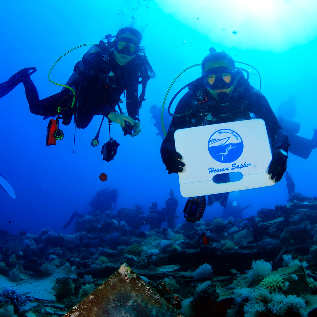 North Egypt Reef Scuba Diving Liveaboard Heaven Saphir