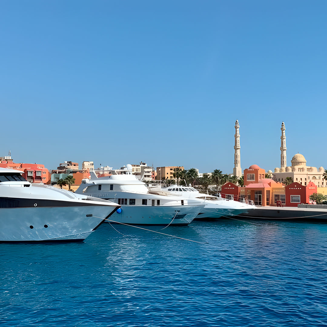 North Egypt Reef Scuba Diving Liveaboard Heaven Saphir