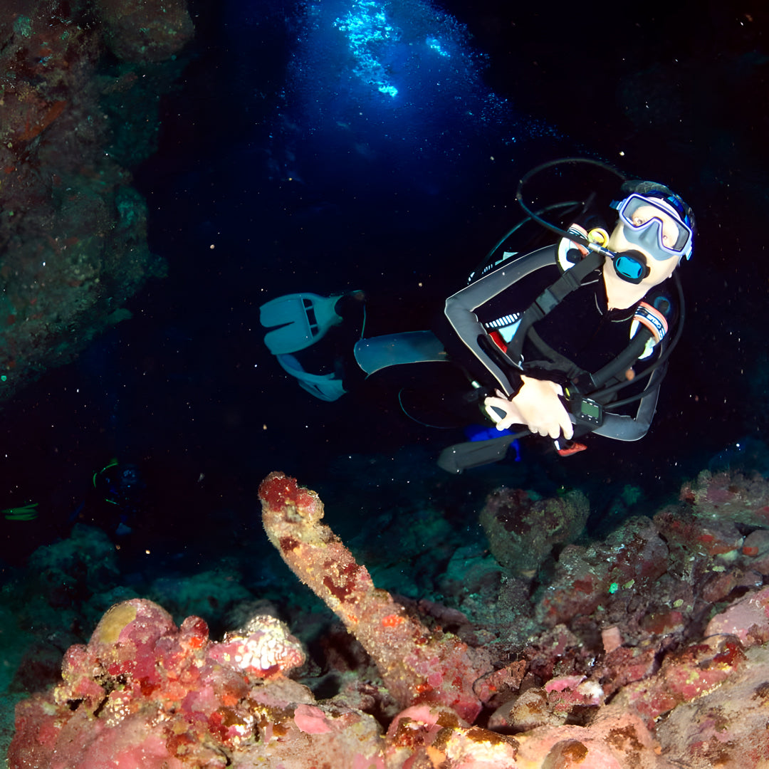 North Egypt Reef Scuba Diving Liveaboard Heaven Saphir