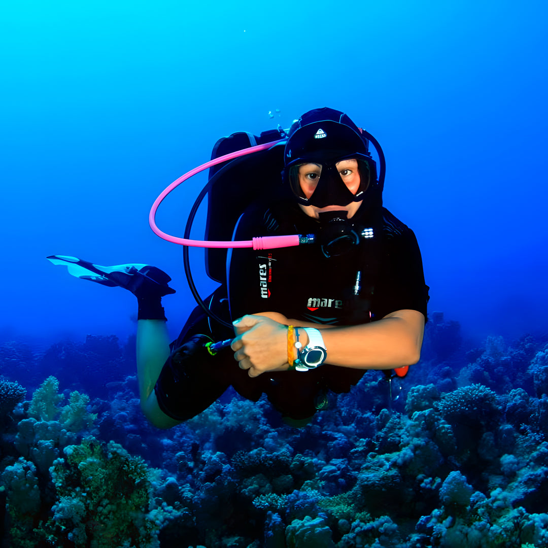 North Egypt Reef Scuba Diving Liveaboard Heaven Saphir