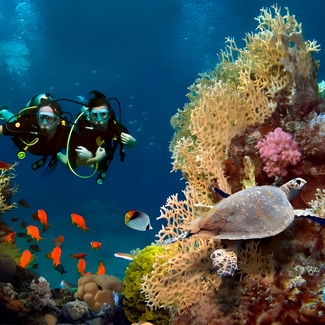 North Egypt Reef Scuba Diving Liveaboard