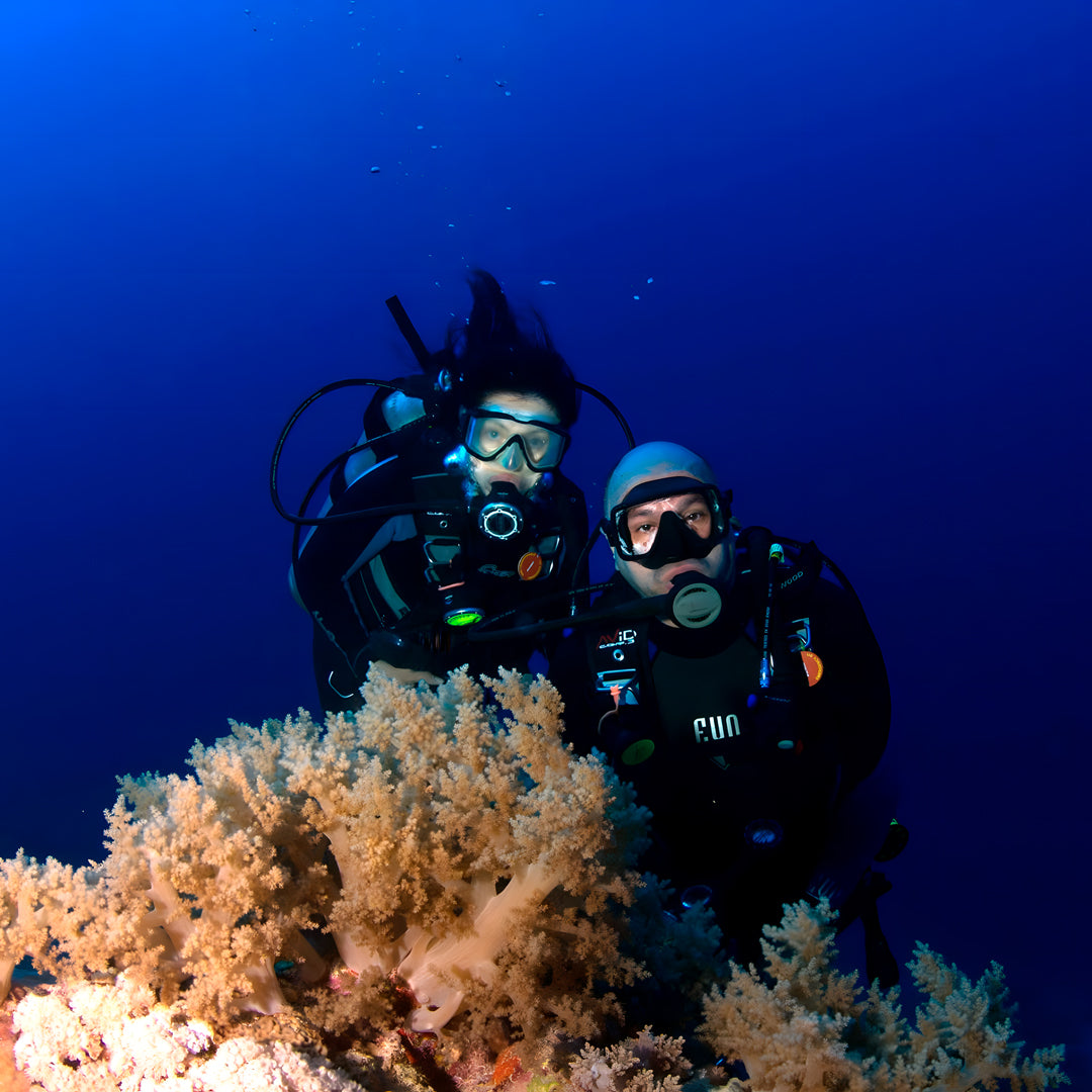 North Egypt Reef Scuba Diving Liveaboard Heaven Saphir