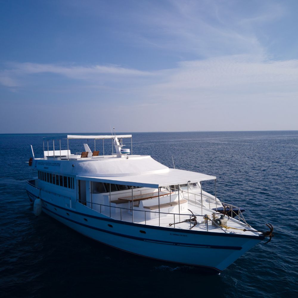 Freediving Liveaboard Maldives