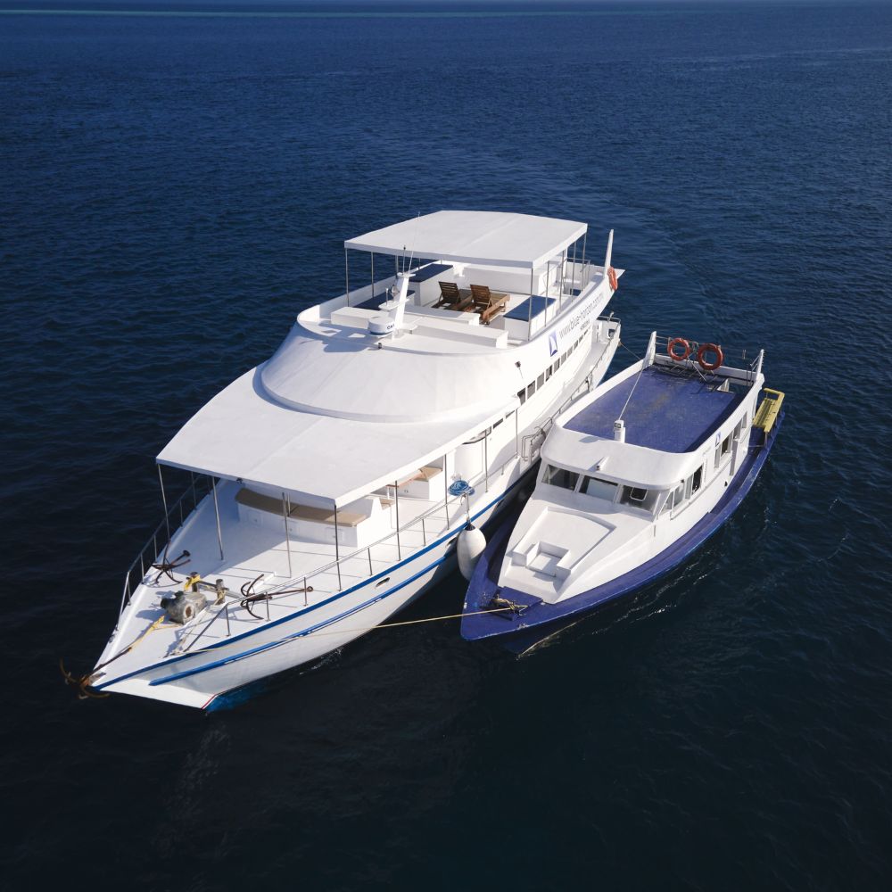 Freediving Liveaboard Maldives