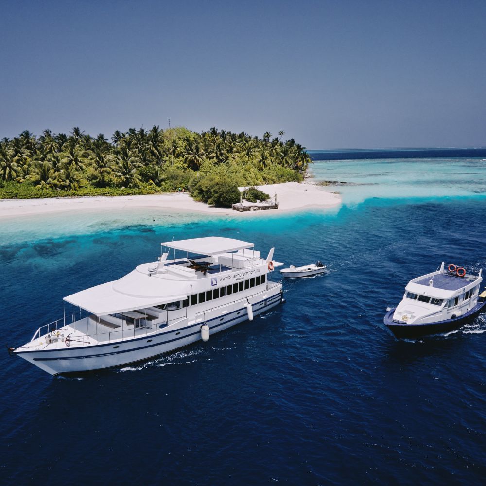 Freediving Liveaboard Maldives