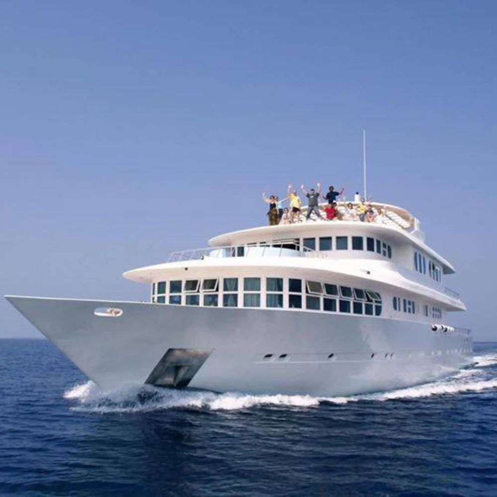 Deep South Tiger Shark Liveaboard