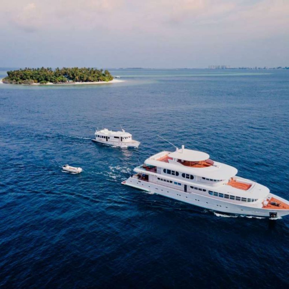 Deep South Tiger Shark Liveaboard