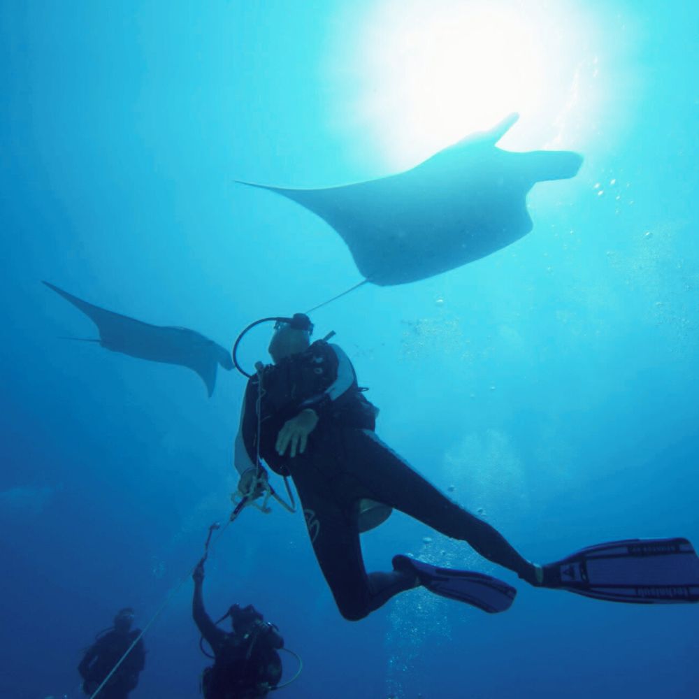 Maldives Scuba Diving Liveaboard