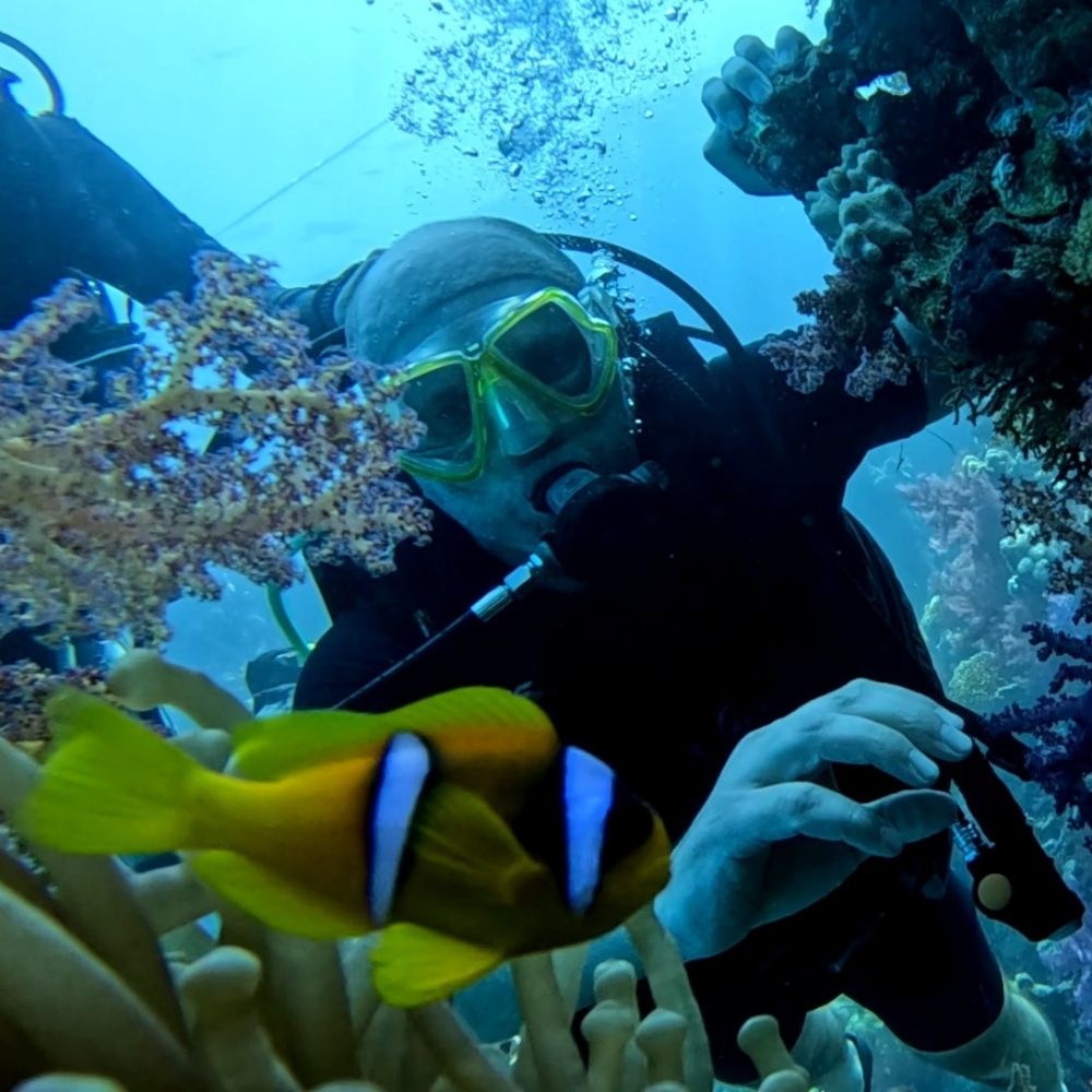 White Island Egypt Fun Dive