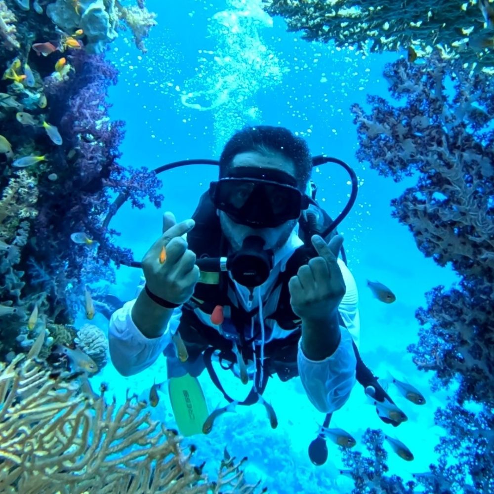 Blue Hole & Canyon Sea Scuba Diving Experience