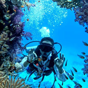 White Island Egypt Fun Dive