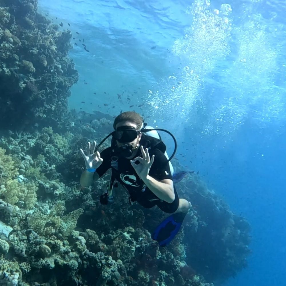 Egypt Discovery Dive