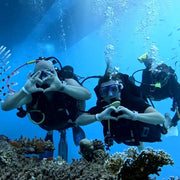 Egypt Discovery Dive