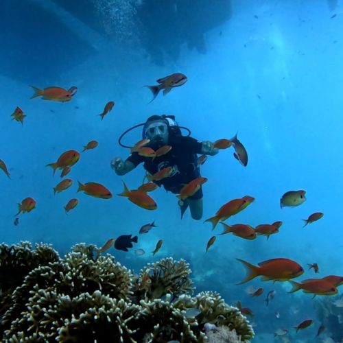 Enriched Air (Nitrox) Diver Course