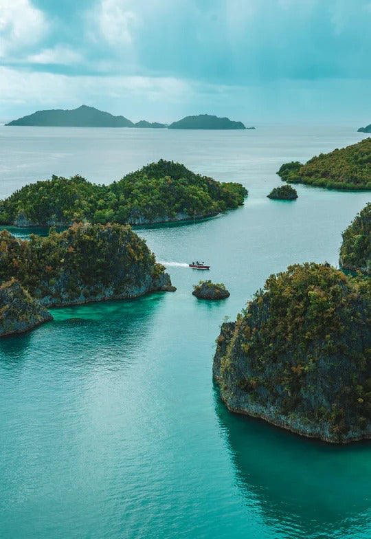Raja Ampat Freediving & Coral Retreat