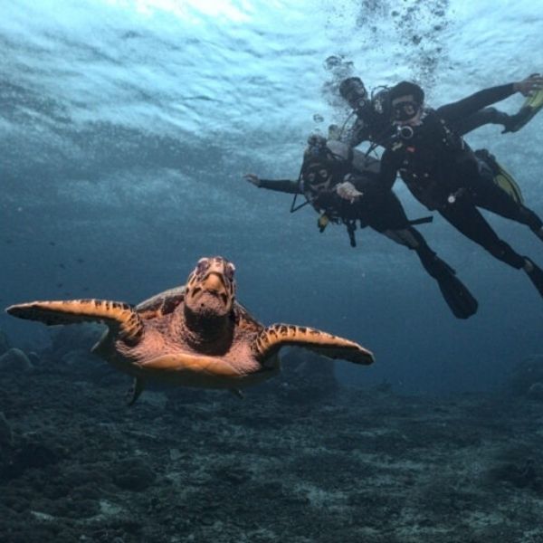 SSI Basic Scuba Diving in Nusa Penida
