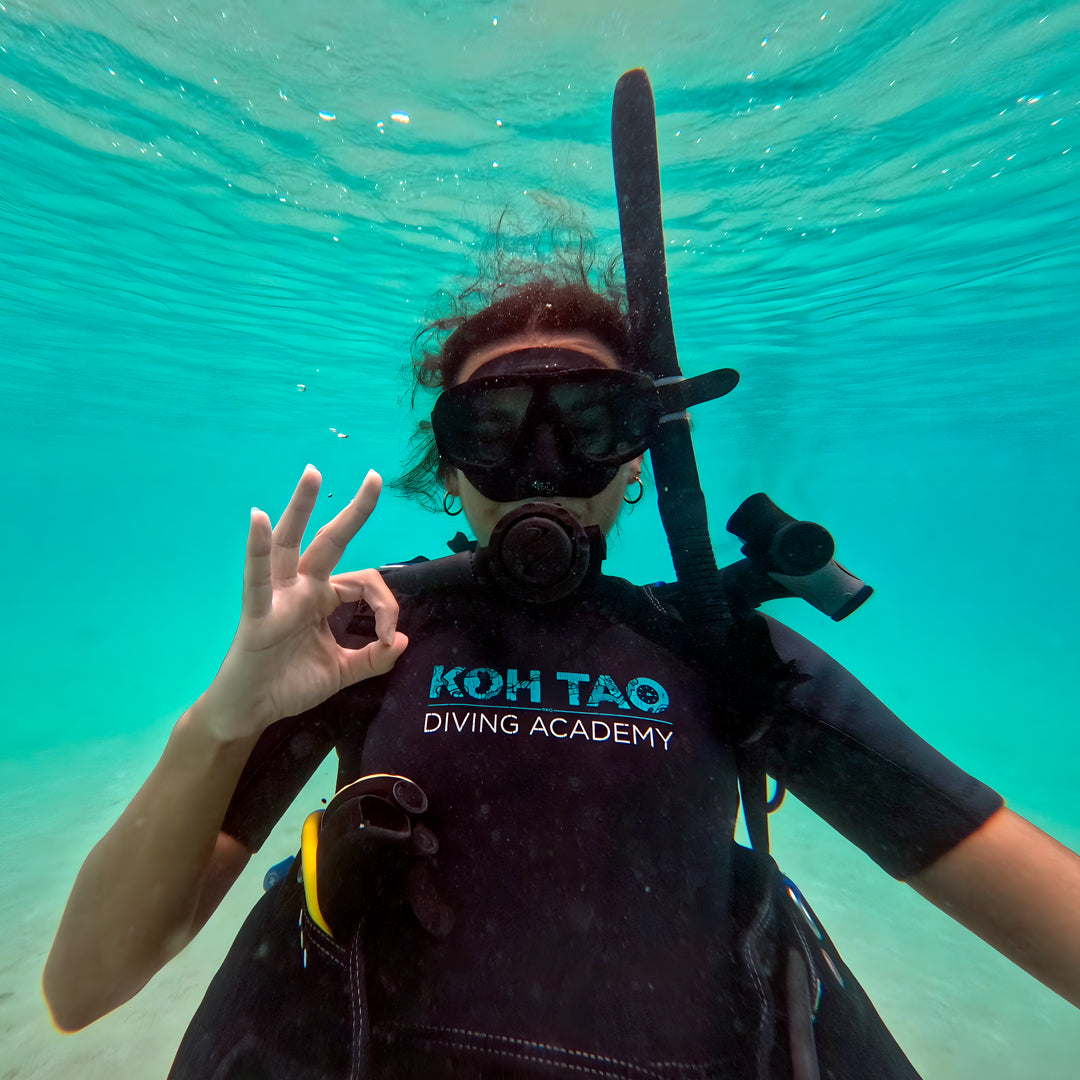 Try Scuba Diving in Koh Tao