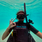 Try Scuba Diving in Koh Tao