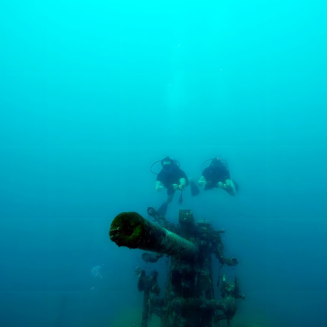 Try Scuba Diving in Koh Tao