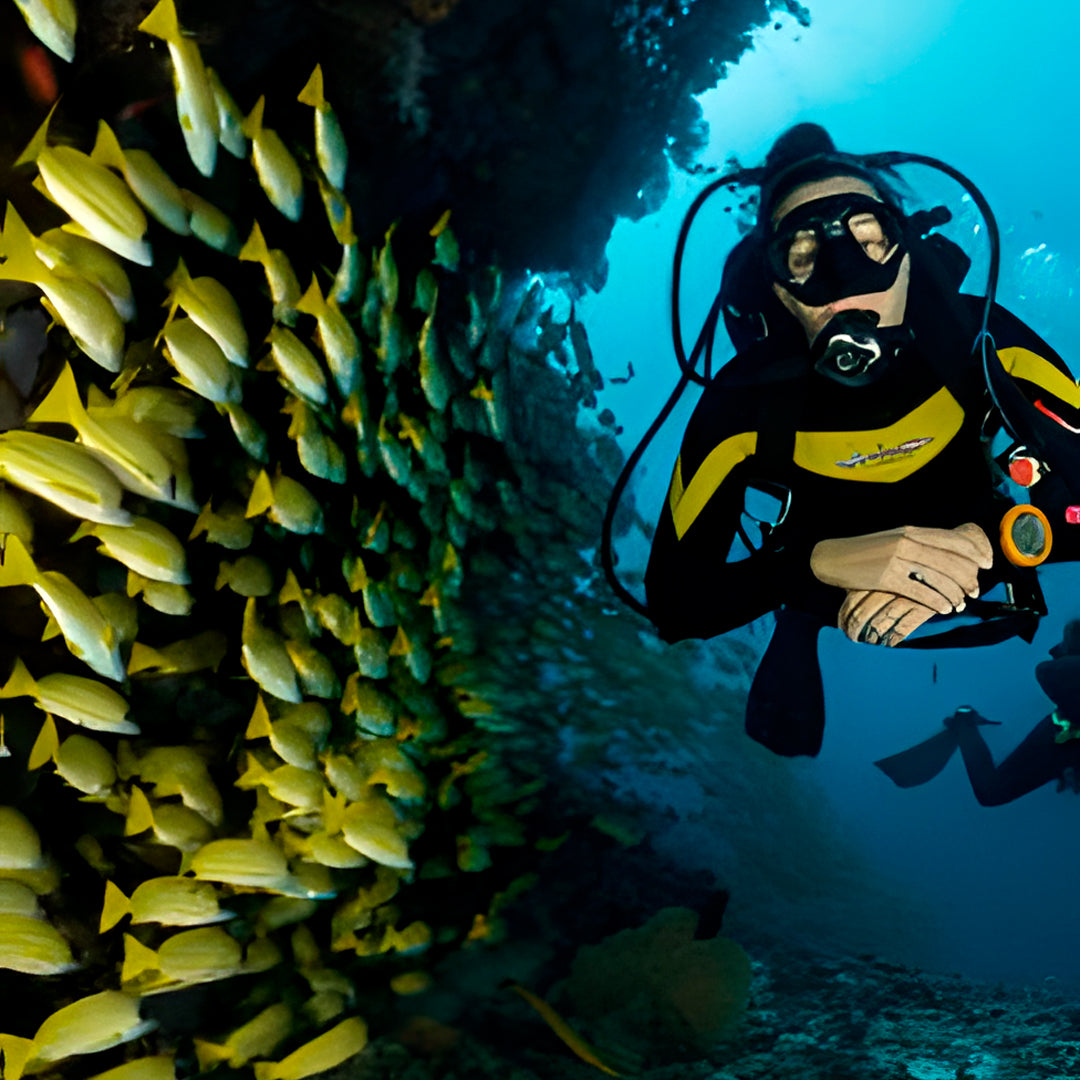 Try Scuba Diving in Koh Tao