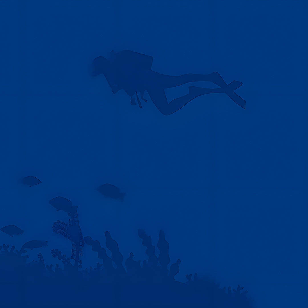 Try Scuba Diving in Koh Tao
