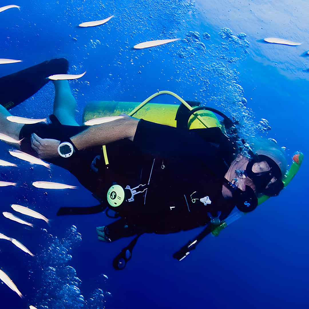 Try Scuba Diving in Koh Tao