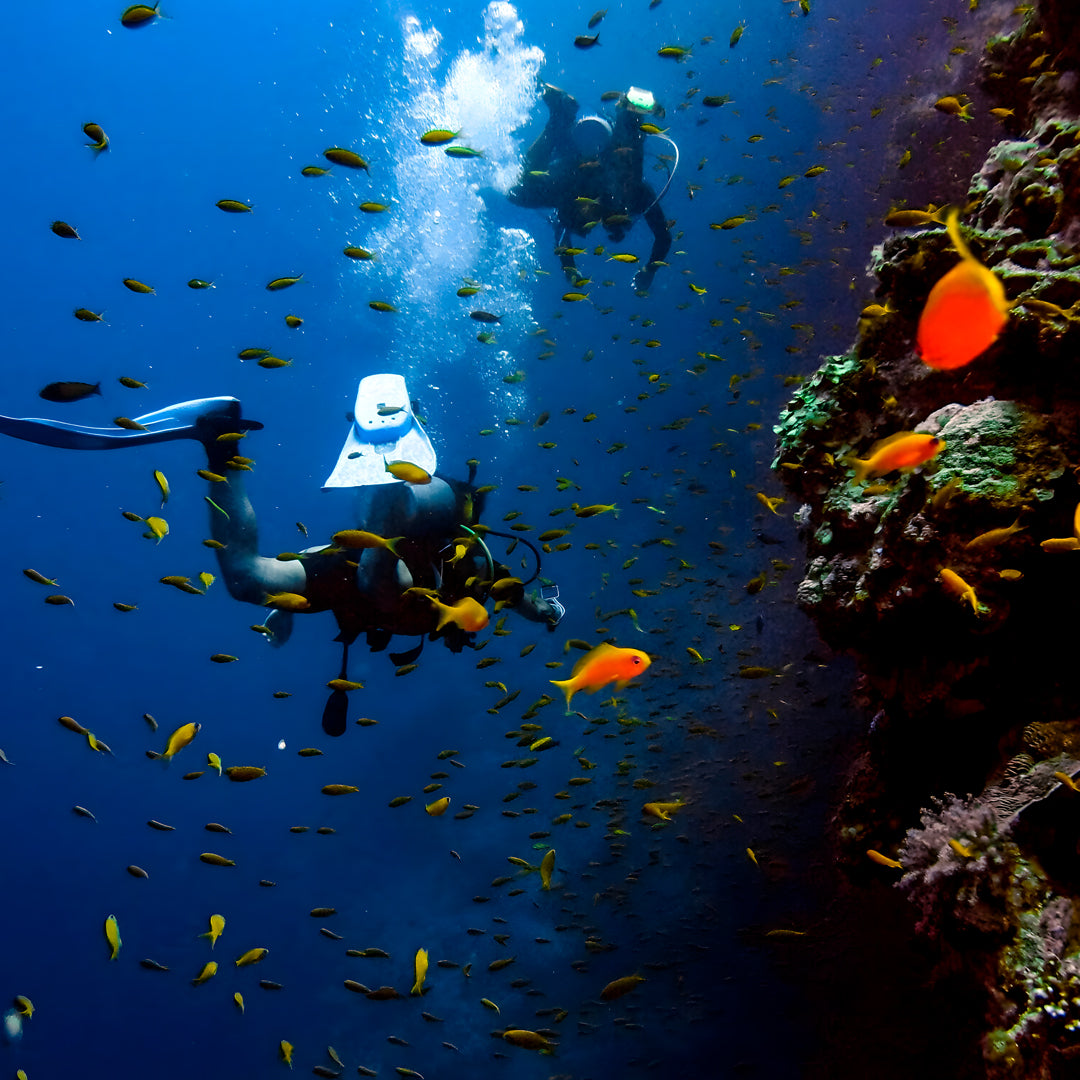 Koh Tao Open Water Scuba Diving Course