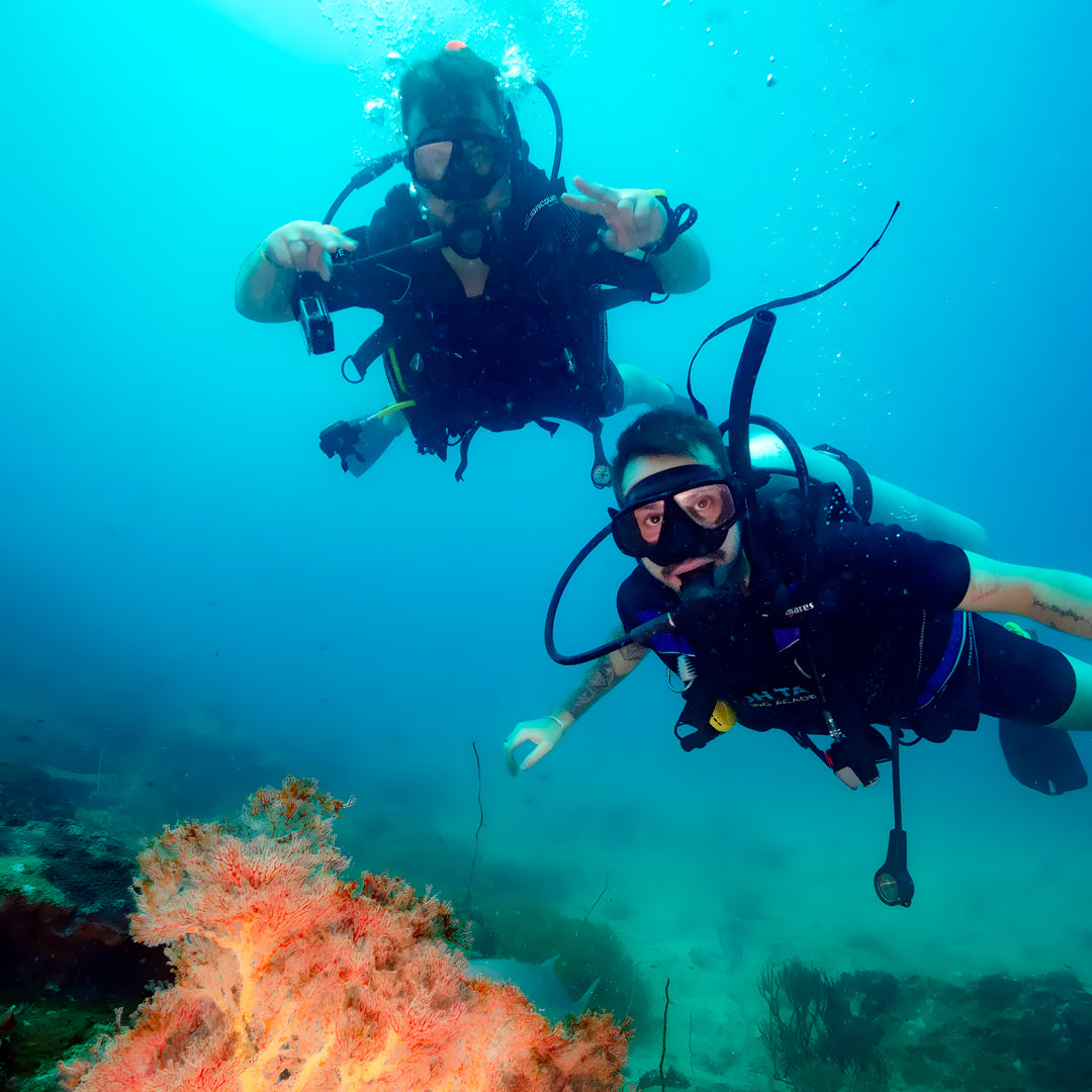 Curso de buceo Open Water en Koh Tao