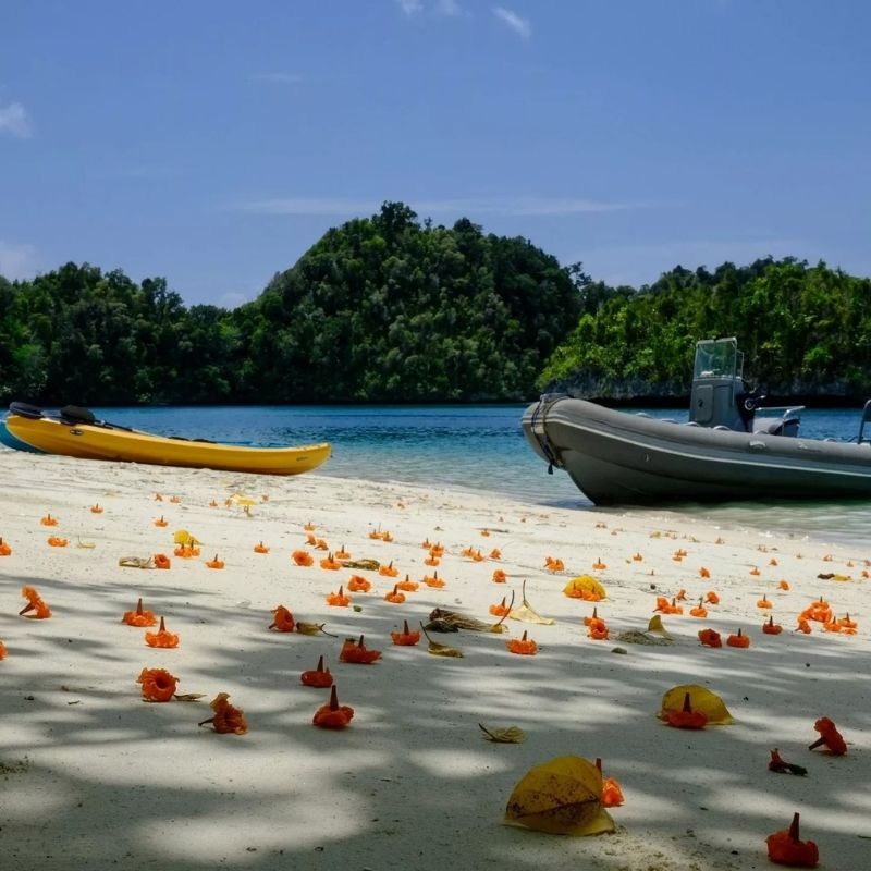 Flores Sea Scuba Diving Liveaboard