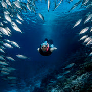 Komodo Adventurer Extended Journey Liveaboard