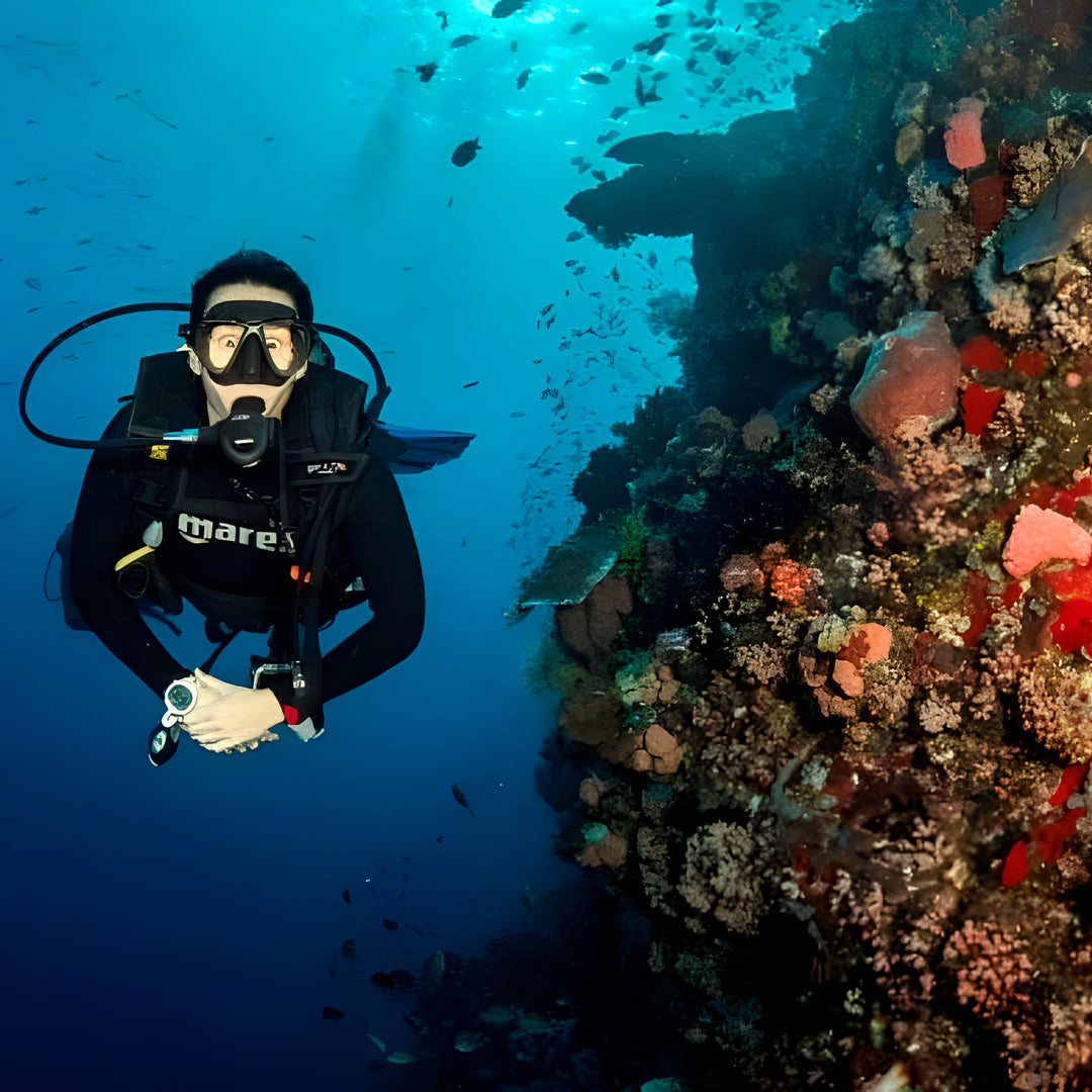 Komodo Expedition Liveaboard